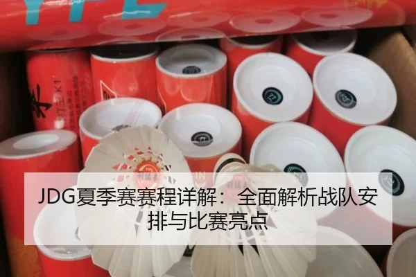 JDG夏季赛赛程详解：全面解析战队安排与比赛亮点